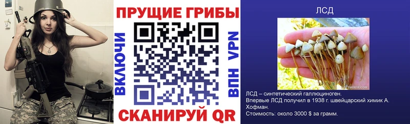Псилоцибиновые грибы MAGIC MUSHROOMS  Морозовск 